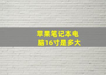 苹果笔记本电脑16寸是多大