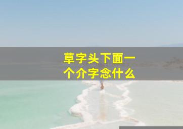 草字头下面一个介字念什么