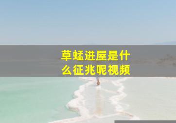 草蜢进屋是什么征兆呢视频