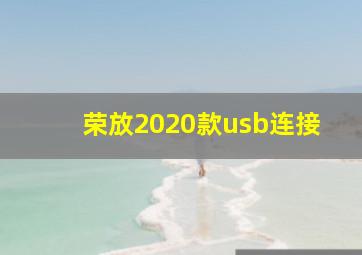 荣放2020款usb连接