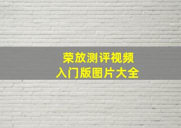 荣放测评视频入门版图片大全