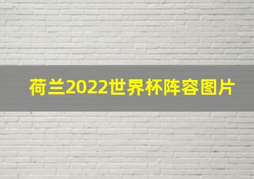 荷兰2022世界杯阵容图片