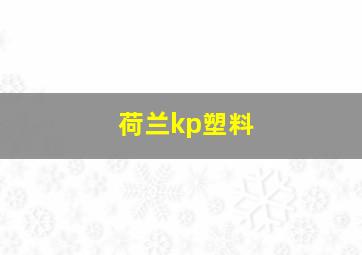 荷兰kp塑料