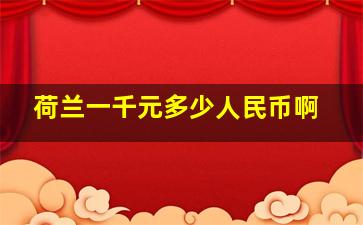 荷兰一千元多少人民币啊