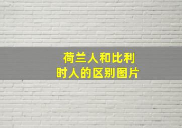 荷兰人和比利时人的区别图片