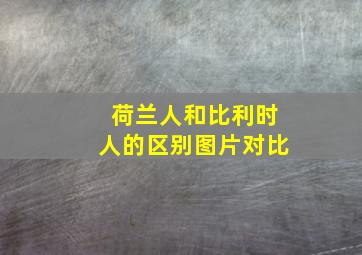 荷兰人和比利时人的区别图片对比