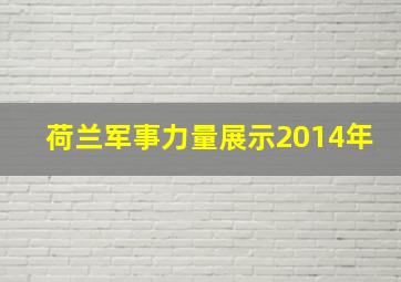 荷兰军事力量展示2014年