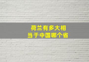 荷兰有多大相当于中国哪个省