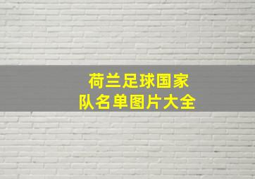 荷兰足球国家队名单图片大全