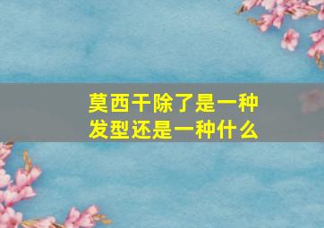 莫西干除了是一种发型还是一种什么