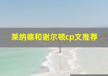 莱纳德和谢尔顿cp文推荐