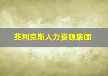 菲利克斯人力资源集团