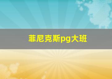 菲尼克斯pg大班