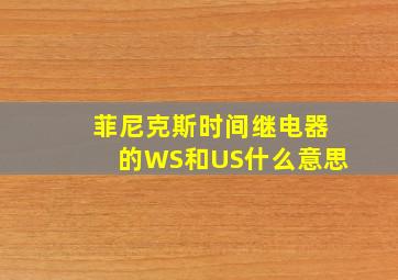 菲尼克斯时间继电器的WS和US什么意思