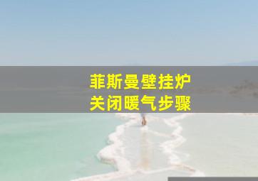 菲斯曼壁挂炉关闭暖气步骤