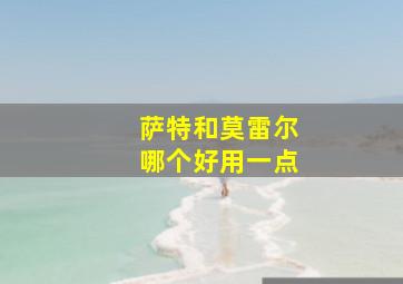 萨特和莫雷尔哪个好用一点