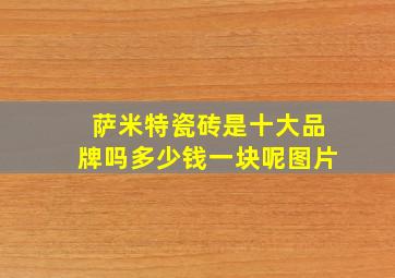 萨米特瓷砖是十大品牌吗多少钱一块呢图片