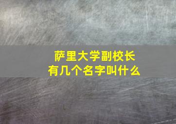 萨里大学副校长有几个名字叫什么