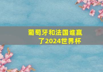 葡萄牙和法国谁赢了2024世界杯