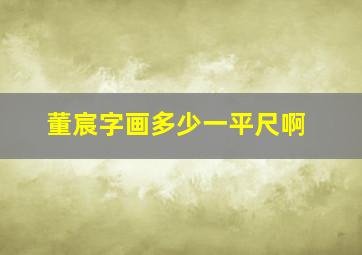 董宸字画多少一平尺啊