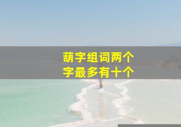 葫字组词两个字最多有十个