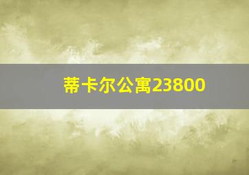 蒂卡尔公寓23800