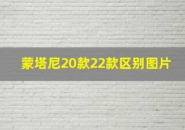 蒙塔尼20款22款区别图片