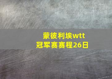 蒙彼利埃wtt冠军赛赛程26日