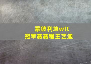 蒙彼利埃wtt冠军赛赛程王艺迪