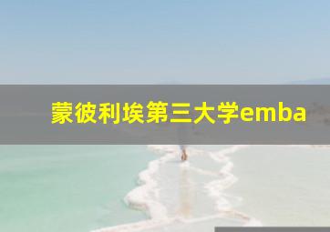 蒙彼利埃第三大学emba