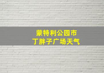 蒙特利公园市丁胖子广场天气