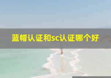 蓝帽认证和sc认证哪个好