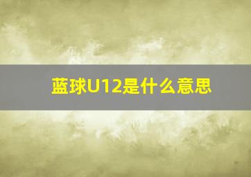 蓝球U12是什么意思