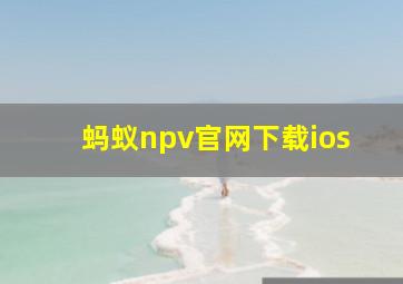 蚂蚁npv官网下载ios