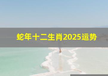 蛇年十二生肖2025运势