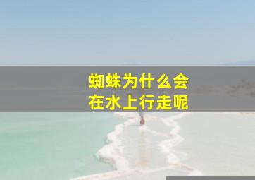 蜘蛛为什么会在水上行走呢