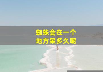 蜘蛛会在一个地方呆多久呢