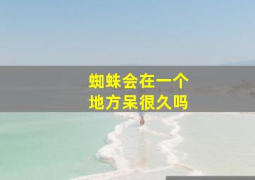 蜘蛛会在一个地方呆很久吗