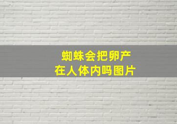 蜘蛛会把卵产在人体内吗图片