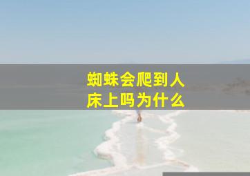 蜘蛛会爬到人床上吗为什么