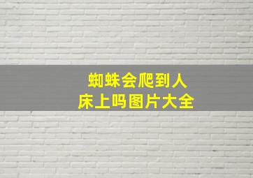 蜘蛛会爬到人床上吗图片大全