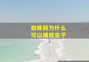 蜘蛛网为什么可以捕捉虫子