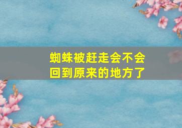 蜘蛛被赶走会不会回到原来的地方了