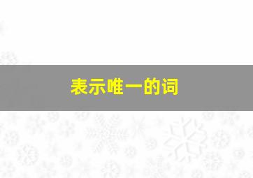 表示唯一的词