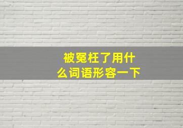 被冤枉了用什么词语形容一下