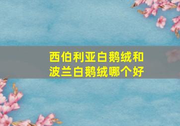 西伯利亚白鹅绒和波兰白鹅绒哪个好