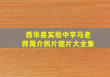 西华县实验中学马老师简介照片图片大全集