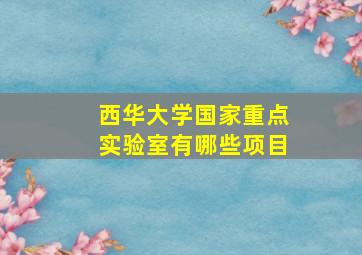 西华大学国家重点实验室有哪些项目