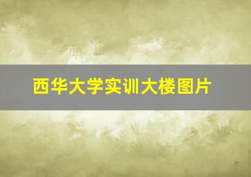 西华大学实训大楼图片