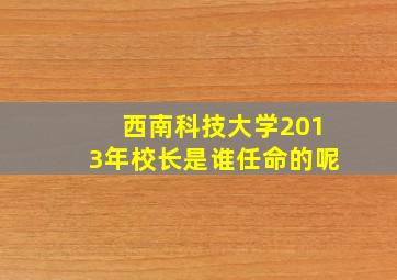 西南科技大学2013年校长是谁任命的呢